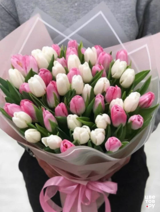 Букет 51 бело-розовые тюльпаны
